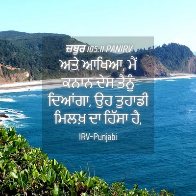 Picture 04 - ਜ਼ਬੂਰ 105:11 PANIRV - ਅਤੇ ਆਖਿਆ, ਮੈਂ ਕਨਾਨ - Bible Verse Picture
