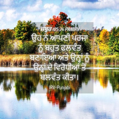 Picture 04 - ਜ਼ਬੂਰ 105:24 PANIRV - ਉਹ ਨੇ ਆਪਣੀ ਪਰਜਾ ਨੂੰ - Bible Verse Picture