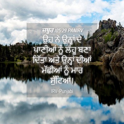 Picture 04 - ਜ਼ਬੂਰ 105:29 PANIRV - ਉਹ ਨੇ ਉਨ੍ਹਾਂ ਦੇ - Bible Verse Picture