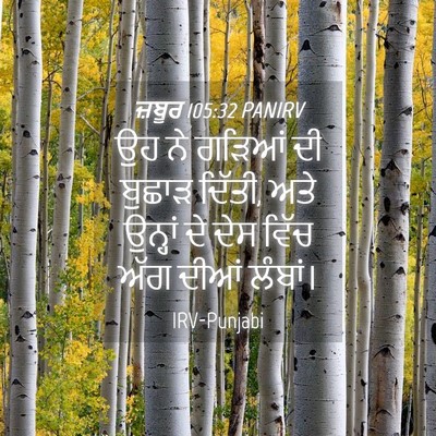 Picture 04 - ਜ਼ਬੂਰ 105:32 PANIRV - ਉਹ ਨੇ ਗੜਿਆਂ ਦੀ - Bible Verse Picture