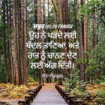 Picture 04 - ਜ਼ਬੂਰ 105:39 PANIRV - ਉਹ ਨੇ ਪੜਦੇ ਲਈ ਬੱਦਲ - Bible Verse Picture