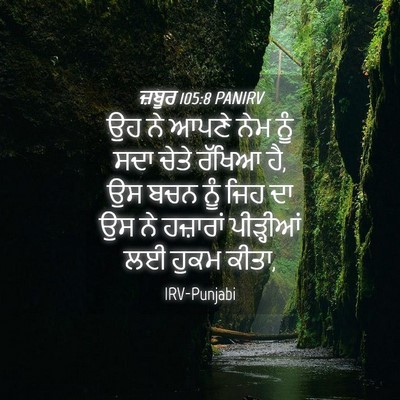 Picture 04 - ਜ਼ਬੂਰ 105:8 PANIRV - ਉਹ ਨੇ ਆਪਣੇ ਨੇਮ ਨੂੰ - Bible Verse Picture