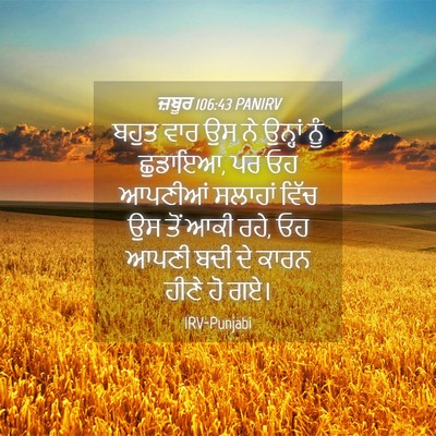 Picture 04 - ਜ਼ਬੂਰ 106:43 PANIRV - ਬਹੁਤ ਵਾਰ ਉਸ ਨੇ - Bible Verse Picture