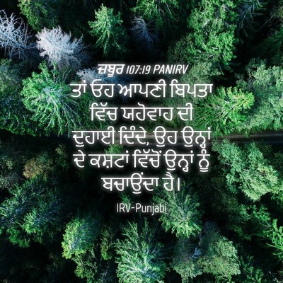 Picture 04 - ਜ਼ਬੂਰ 107:19 PANIRV - ਤਾਂ ਓਹ ਆਪਣੀ ਬਿਪਤਾ - Bible Verse Picture
