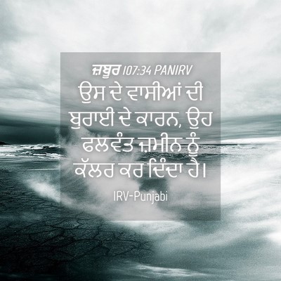 Picture 04 - ਜ਼ਬੂਰ 107:34 PANIRV - ਉਸ ਦੇ ਵਾਸੀਆਂ ਦੀ - Bible Verse Picture