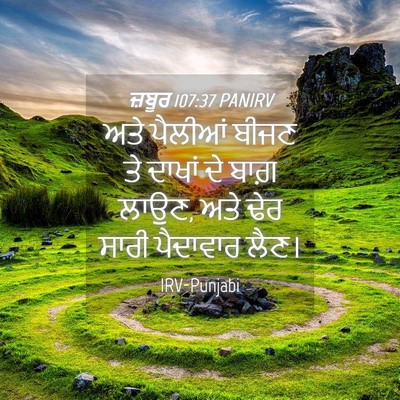 Picture 04 - ਜ਼ਬੂਰ 107:37 PANIRV - ਅਤੇ ਪੈਲੀਆਂ ਬੀਜਣ ਤੇ - Bible Verse Picture