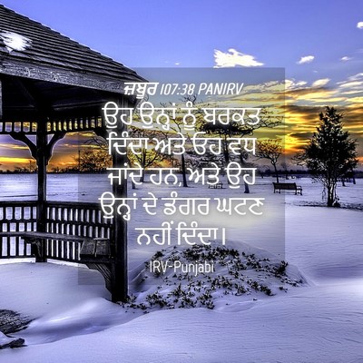 Picture 04 - ਜ਼ਬੂਰ 107:38 PANIRV - ਉਹ ਉਨ੍ਹਾਂ ਨੂੰ ਬਰਕਤ - Bible Verse Picture