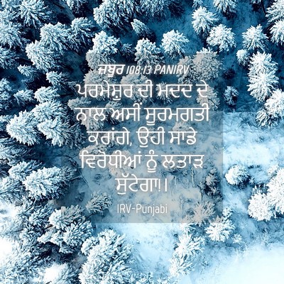Picture 04 - ਜ਼ਬੂਰ 108:13 PANIRV - ਪਰਮੇਸ਼ੁਰ ਦੀ ਮਦਦ ਦੇ - Bible Verse Picture