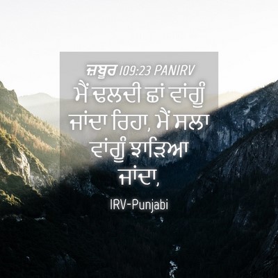 Picture 04 - ਜ਼ਬੂਰ 109:23 PANIRV - ਮੈਂ ਢਲਦੀ ਛਾਂ - Bible Verse Picture