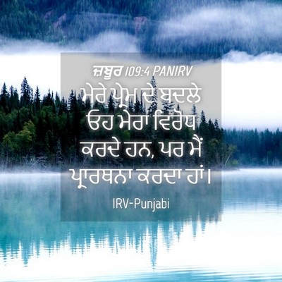 Picture 04 - ਜ਼ਬੂਰ 109:4 PANIRV - ਮੇਰੇ ਪ੍ਰੇਮ ਦੇ ਬਦਲੇ - Bible Verse Picture