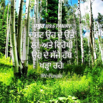 Picture 04 - ਜ਼ਬੂਰ 109:6 PANIRV - ਦੁਸ਼ਟ ਉਹ ਦੇ ਉੱਤੇ - Bible Verse Picture
