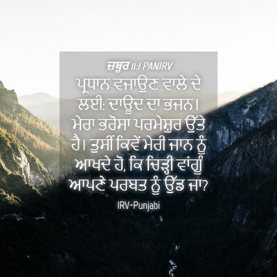 Picture 04 - ਜ਼ਬੂਰ 11:1 PANIRV - ਪ੍ਰਧਾਨ ਵਜਾਉਣ ਵਾਲੇ - Bible Verse Picture