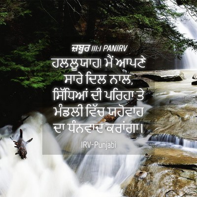 Picture 04 - ਜ਼ਬੂਰ 111:1 PANIRV - ਹਲਲੂਯਾਹ! ਮੈਂ ਆਪਣੇ - Bible Verse Picture