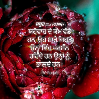 Picture 04 - ਜ਼ਬੂਰ 111:2 PANIRV - ਯਹੋਵਾਹ ਦੇ ਕੰਮ ਵੱਡੇ - Bible Verse Picture