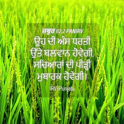 Picture 04 - ਜ਼ਬੂਰ 112:2 PANIRV - ਉਹ ਦੀ ਅੰਸ ਧਰਤੀ ਉੱਤੇ - Bible Verse Picture
