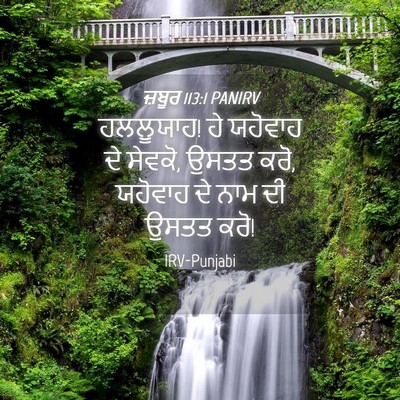 Picture 04 - ਜ਼ਬੂਰ 113:1 PANIRV - ਹਲਲੂਯਾਹ! ਹੇ ਯਹੋਵਾਹ - Bible Verse Picture
