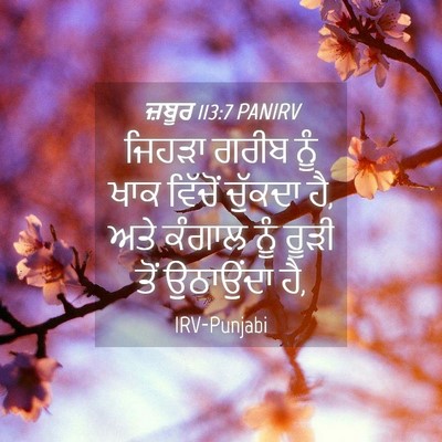 Picture 04 - ਜ਼ਬੂਰ 113:7 PANIRV - ਜਿਹੜਾ ਗਰੀਬ ਨੂੰ ਖਾਕ - Bible Verse Picture