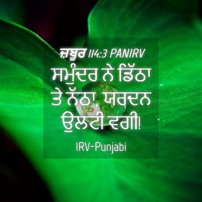 Picture 04 - ਜ਼ਬੂਰ 114:3 PANIRV - ਸਮੁੰਦਰ ਨੇ ਡਿੱਠਾ ਤੇ - Bible Verse Picture