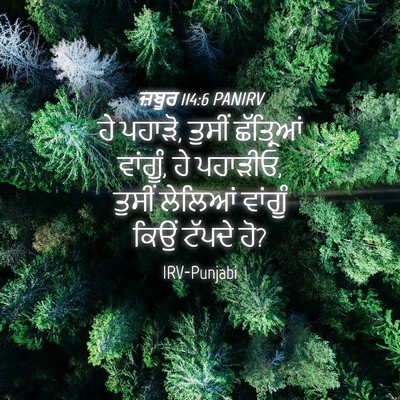 Picture 04 - ਜ਼ਬੂਰ 114:6 PANIRV - ਹੇ ਪਹਾੜੋ, ਤੁਸੀਂ - Bible Verse Picture