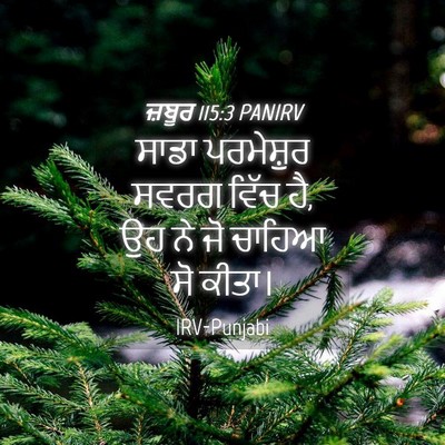 Picture 04 - ਜ਼ਬੂਰ 115:3 PANIRV - ਸਾਡਾ ਪਰਮੇਸ਼ੁਰ - Bible Verse Picture