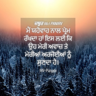 Picture 04 - ਜ਼ਬੂਰ 116:1 PANIRV - ਮੈਂ ਯਹੋਵਾਹ ਨਾਲ - Bible Verse Picture