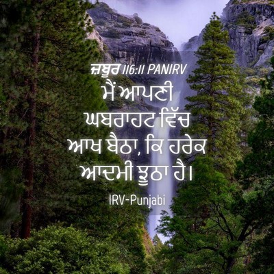 Picture 04 - ਜ਼ਬੂਰ 116:11 PANIRV - ਮੈਂ ਆਪਣੀ ਘਬਰਾਹਟ - Bible Verse Picture
