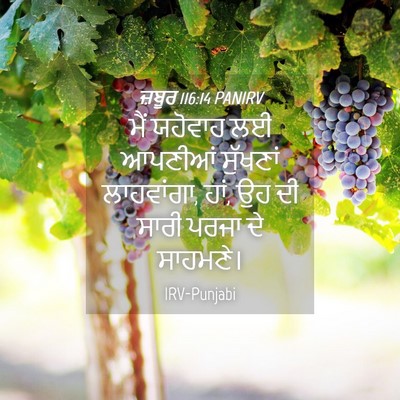 Picture 04 - ਜ਼ਬੂਰ 116:14 PANIRV - ਮੈਂ ਯਹੋਵਾਹ ਲਈ - Bible Verse Picture