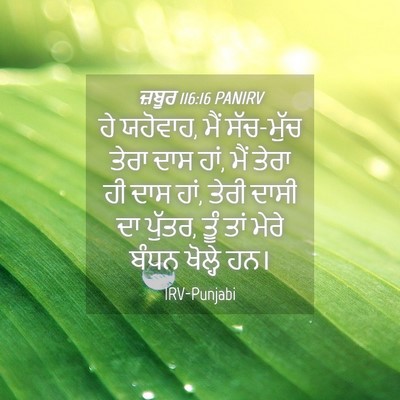 Picture 04 - ਜ਼ਬੂਰ 116:16 PANIRV - ਹੇ ਯਹੋਵਾਹ, ਮੈਂ - Bible Verse Picture