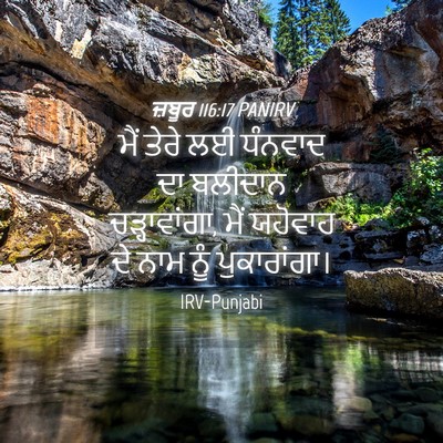 Picture 04 - ਜ਼ਬੂਰ 116:17 PANIRV - ਮੈਂ ਤੇਰੇ ਲਈ ਧੰਨਵਾਦ - Bible Verse Picture