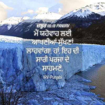 Picture 04 - ਜ਼ਬੂਰ 116:18 PANIRV - ਮੈਂ ਯਹੋਵਾਹ ਲਈ - Bible Verse Picture