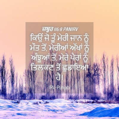 Picture 04 - ਜ਼ਬੂਰ 116:8 PANIRV - ਕਿਉਂ ਜੋ ਤੂੰ ਮੇਰੀ - Bible Verse Picture