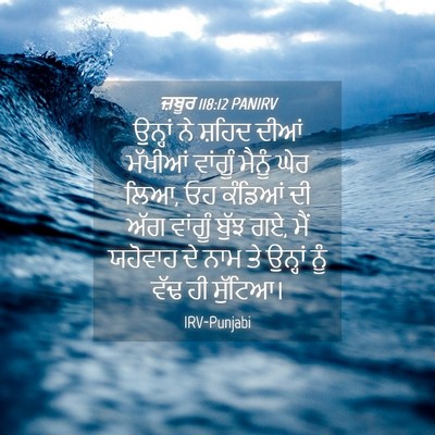 Picture 04 - ਜ਼ਬੂਰ 118:12 PANIRV - ਉਨ੍ਹਾਂ ਨੇ ਸ਼ਹਿਦ - Bible Verse Picture