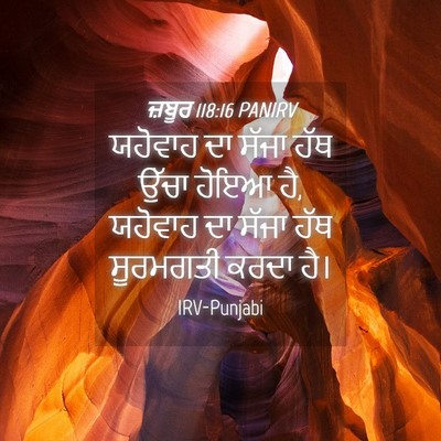 Picture 04 - ਜ਼ਬੂਰ 118:16 PANIRV - ਯਹੋਵਾਹ ਦਾ ਸੱਜਾ ਹੱਥ - Bible Verse Picture
