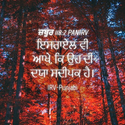 Picture 04 - ਜ਼ਬੂਰ 118:2 PANIRV - ਇਸਰਾਏਲ ਵੀ ਆਖੇ, ਕਿ - Bible Verse Picture