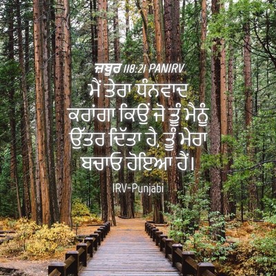Picture 04 - ਜ਼ਬੂਰ 118:21 PANIRV - ਮੈਂ ਤੇਰਾ ਧੰਨਵਾਦ - Bible Verse Picture