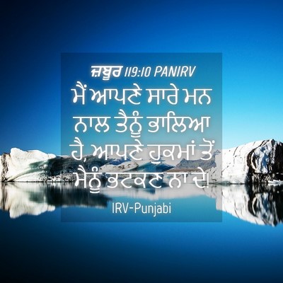 Picture 04 - ਜ਼ਬੂਰ 119:10 PANIRV - ਮੈਂ ਆਪਣੇ ਸਾਰੇ ਮਨ - Bible Verse Picture