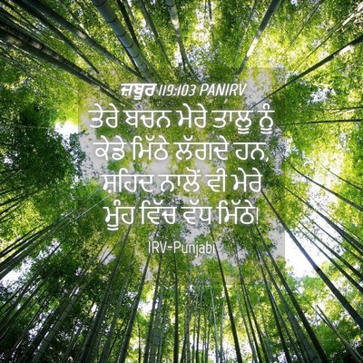 Picture 04 - ਜ਼ਬੂਰ 119:103 PANIRV - ਤੇਰੇ ਬਚਨ ਮੇਰੇ ਤਾਲੂ - Bible Verse Picture