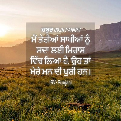 Picture 04 - ਜ਼ਬੂਰ 119:111 PANIRV - ਮੈਂ ਤੇਰੀਆਂ ਸਾਖੀਆਂ - Bible Verse Picture