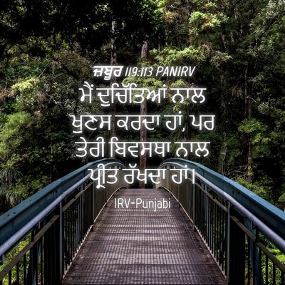 Picture 04 - ਜ਼ਬੂਰ 119:113 PANIRV - ਮੈਂ ਦੁਚਿੱਤਿਆਂ ਨਾਲ - Bible Verse Picture