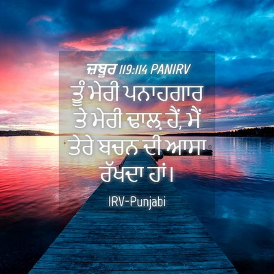 Picture 04 - ਜ਼ਬੂਰ 119:114 PANIRV - ਤੂੰ ਮੇਰੀ ਪਨਾਹਗਾਰ - Bible Verse Picture