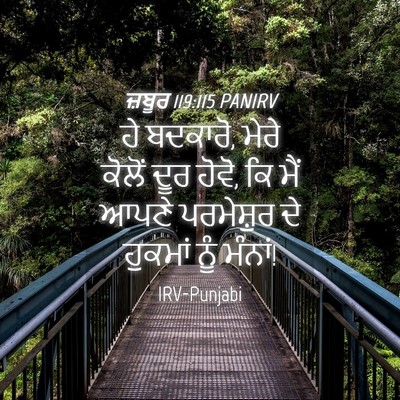 Picture 04 - ਜ਼ਬੂਰ 119:115 PANIRV - ਹੇ ਬਦਕਾਰੋ, ਮੇਰੇ - Bible Verse Picture