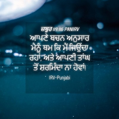 Picture 04 - ਜ਼ਬੂਰ 119:116 PANIRV - ਆਪਣੇ ਬਚਨ ਅਨੁਸਾਰ - Bible Verse Picture