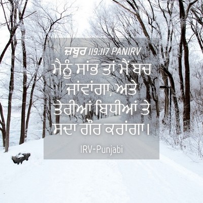 Picture 04 - ਜ਼ਬੂਰ 119:117 PANIRV - ਮੈਨੂੰ ਸਾਂਭ ਤਾਂ ਮੈਂ - Bible Verse Picture
