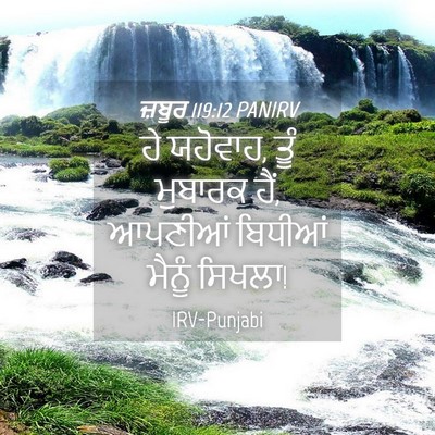 Picture 04 - ਜ਼ਬੂਰ 119:12 PANIRV - ਹੇ ਯਹੋਵਾਹ, ਤੂੰ - Bible Verse Picture