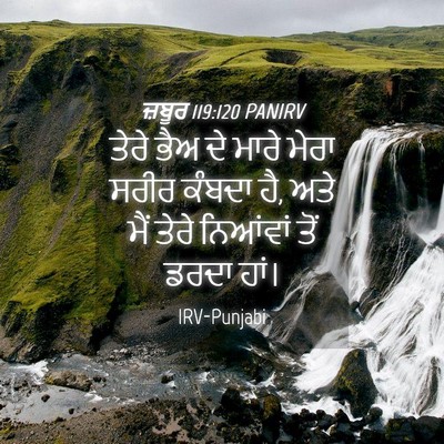 Picture 04 - ਜ਼ਬੂਰ 119:120 PANIRV - ਤੇਰੇ ਭੈਅ ਦੇ ਮਾਰੇ - Bible Verse Picture
