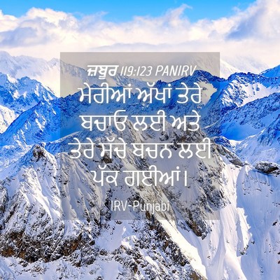 Picture 04 - ਜ਼ਬੂਰ 119:123 PANIRV - ਮੇਰੀਆਂ ਅੱਖਾਂ ਤੇਰੇ - Bible Verse Picture