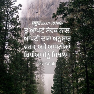 Picture 04 - ਜ਼ਬੂਰ 119:124 PANIRV - ਤੂੰ ਆਪਣੇ ਸੇਵਕ ਨਾਲ - Bible Verse Picture