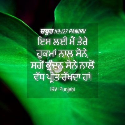 Picture 04 - ਜ਼ਬੂਰ 119:127 PANIRV - ਇਸ ਲਈ ਮੈਂ ਤੇਰੇ - Bible Verse Picture