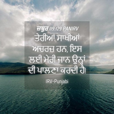 Picture 04 - ਜ਼ਬੂਰ 119:129 PANIRV - ਤੇਰੀਆਂ ਸਾਖੀਆਂ - Bible Verse Picture