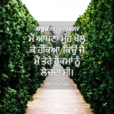 Picture 04 - ਜ਼ਬੂਰ 119:131 PANIRV - ਮੈਂ ਆਪਣਾ ਮੂੰਹ - Bible Verse Picture